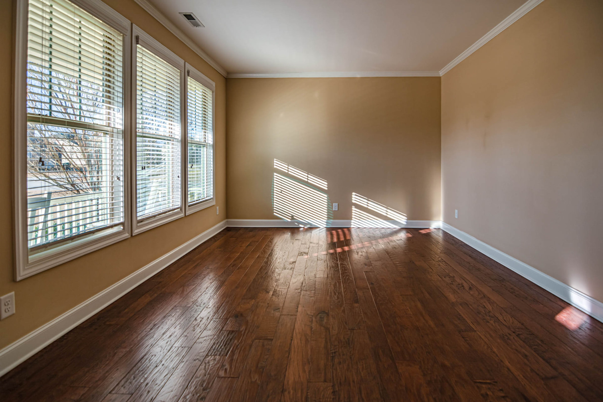 Move-Out Clean